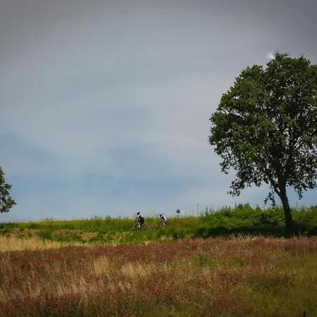 아파트 In Quiet And Environment With Swimming Pool *
