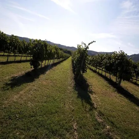 In Quiet And Environment With Swimming Pool