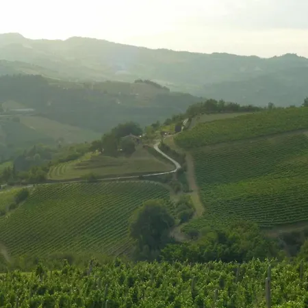 In Quiet And Environment With Swimming Pool *