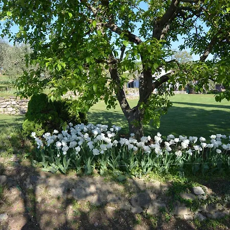 In Quiet And Environment With Swimming Pool