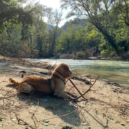 아파트 In Quiet And Environment With Swimming Pool 모디글리아나