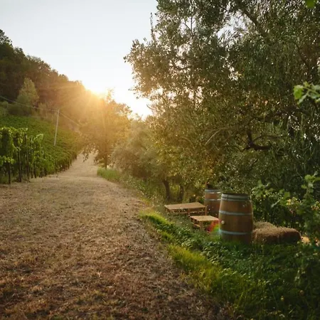 Apartamento In Quiet And Environment With Swimming Pool *