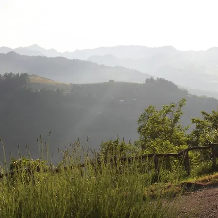 In Quiet And Environment With Swimming Pool *