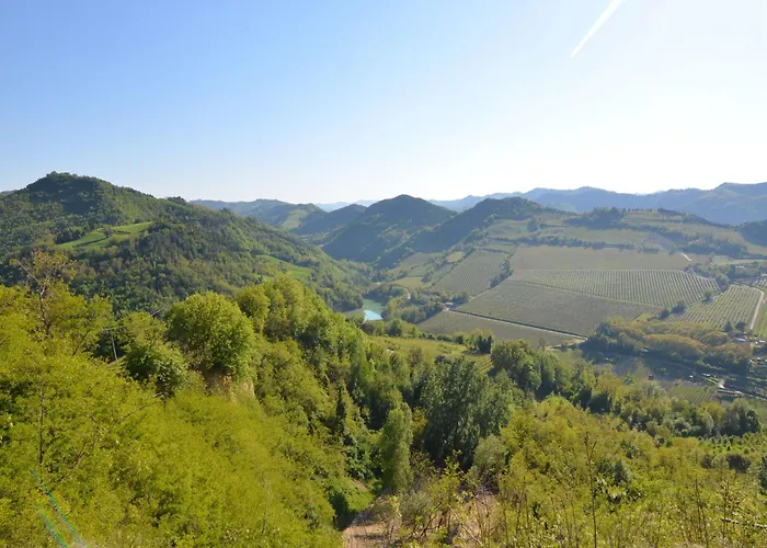 Appartement In Quiet And Environment With Swimming Pool Modigliana