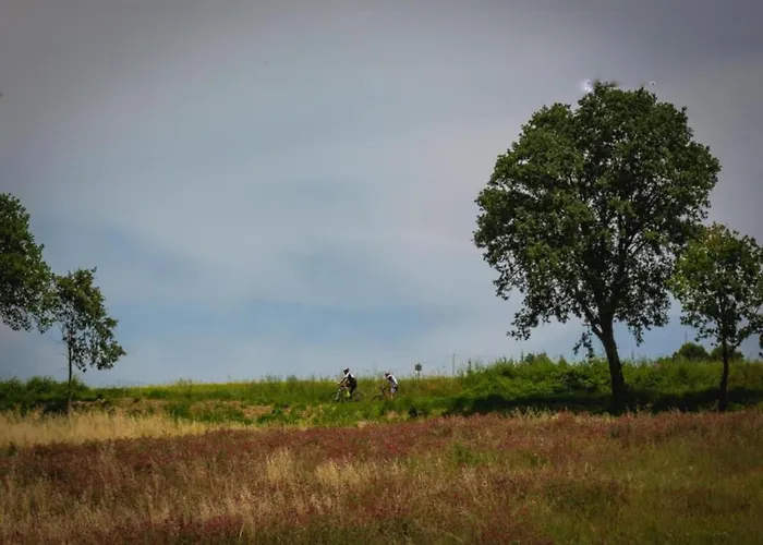 Appartement In Quiet And Environment With Swimming Pool *