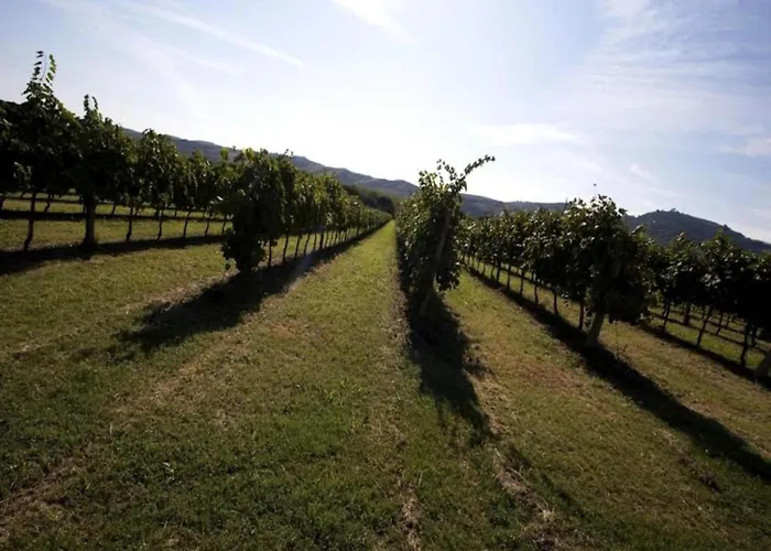 In Quiet And Environment With Swimming Pool