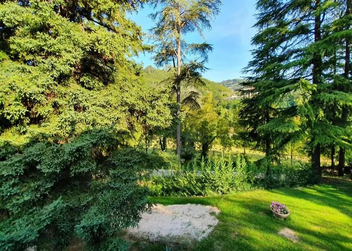 Appartement In Quiet And Environment With Swimming Pool Modigliana