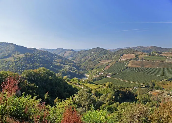 In Quiet And Environment With Swimming Pool Appartement Modigliana