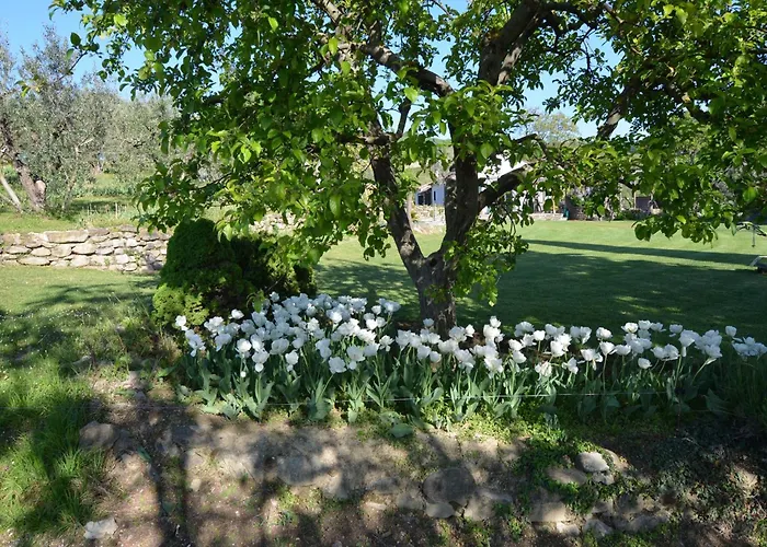 In Quiet And Environment With Swimming Pool