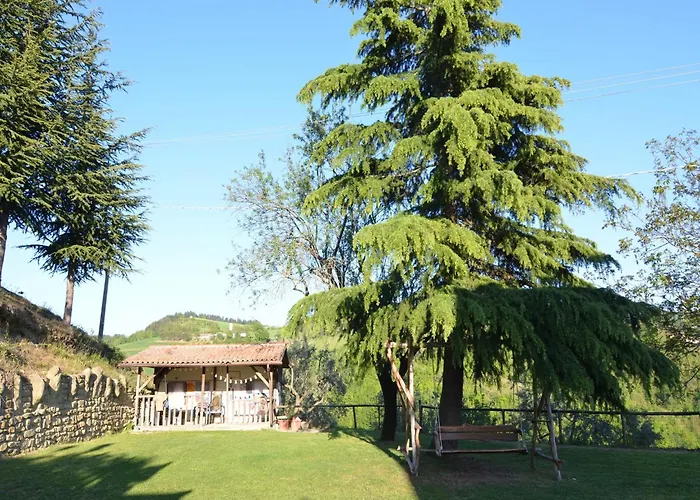 In Quiet And Environment With Swimming Pool Apartament Modigliana