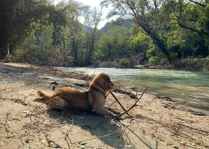 Appartement In Quiet And Environment With Swimming Pool Modigliana