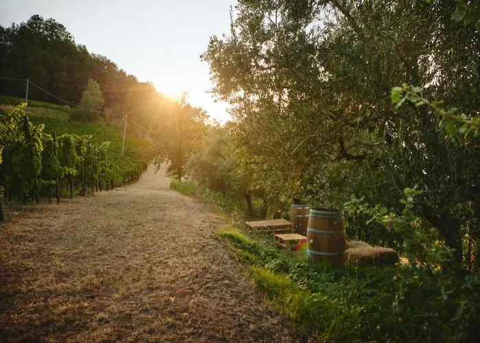 Apartament In Quiet And Environment With Swimming Pool *