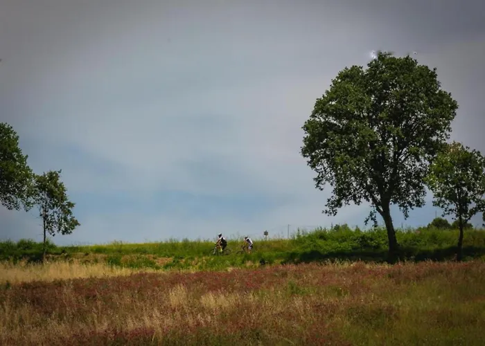 In Quiet And Environment With Swimming Pool